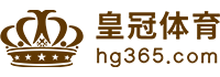 Logo 银河国际